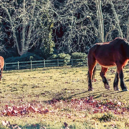 La Bastide * Saint-Raphaël