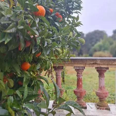 La Bastide Saint-Raphaël