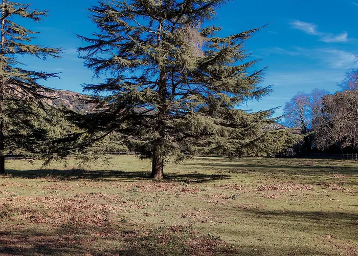 La Bastide Дом отдыха Сен-Рафаэль