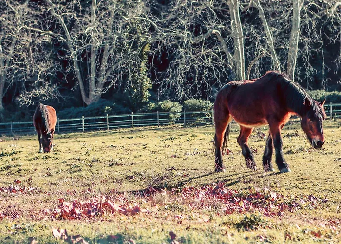 La Bastide * Сен-Рафаэль