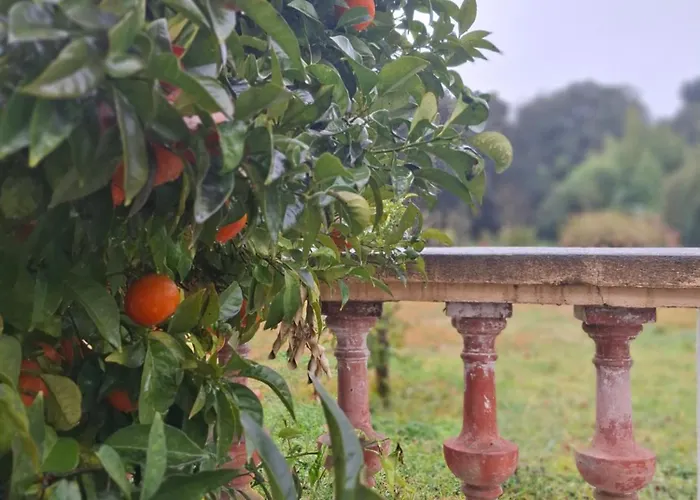 La Bastide Saint-Raphaël