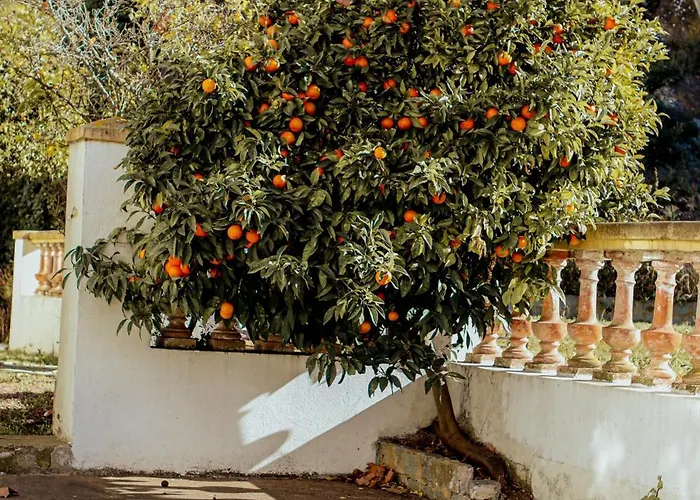 La Bastide Дом отдыха Сен-Рафаэль